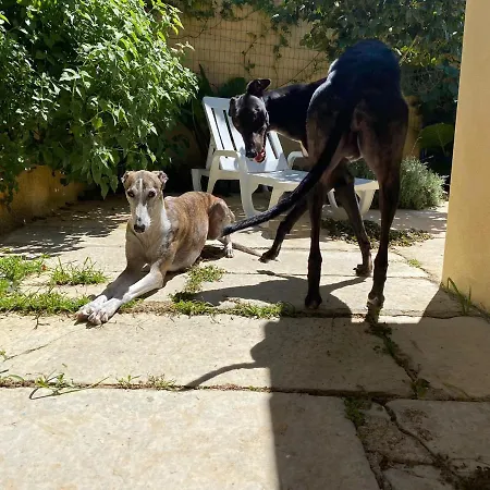 Casa de Férias O Cantinho Local