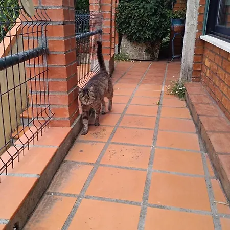 O Cantinho Local Luso (Mealhada)