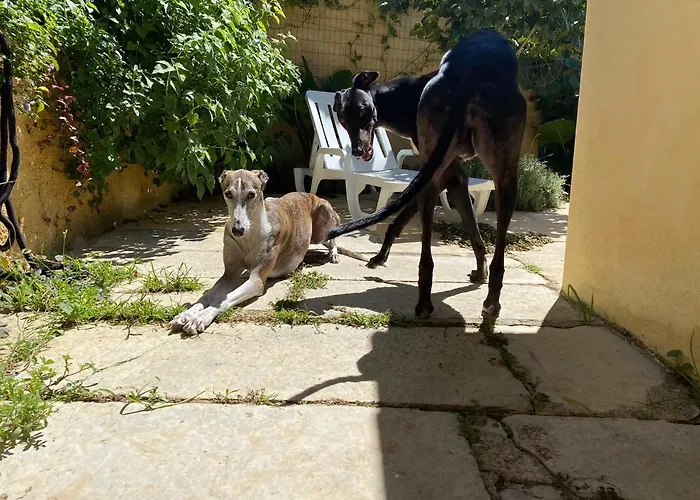 Nyaraló O Cantinho Local