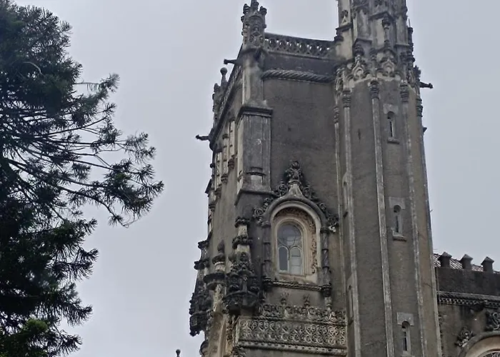 O Cantinho Local Nyaraló *